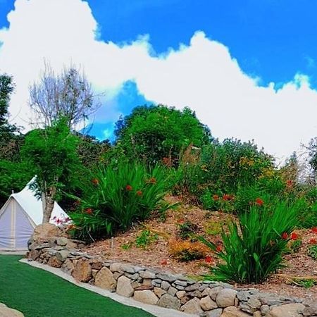 Fairy Cove At Rosemount Glamping Hotel Carlingford Ngoại thất bức ảnh