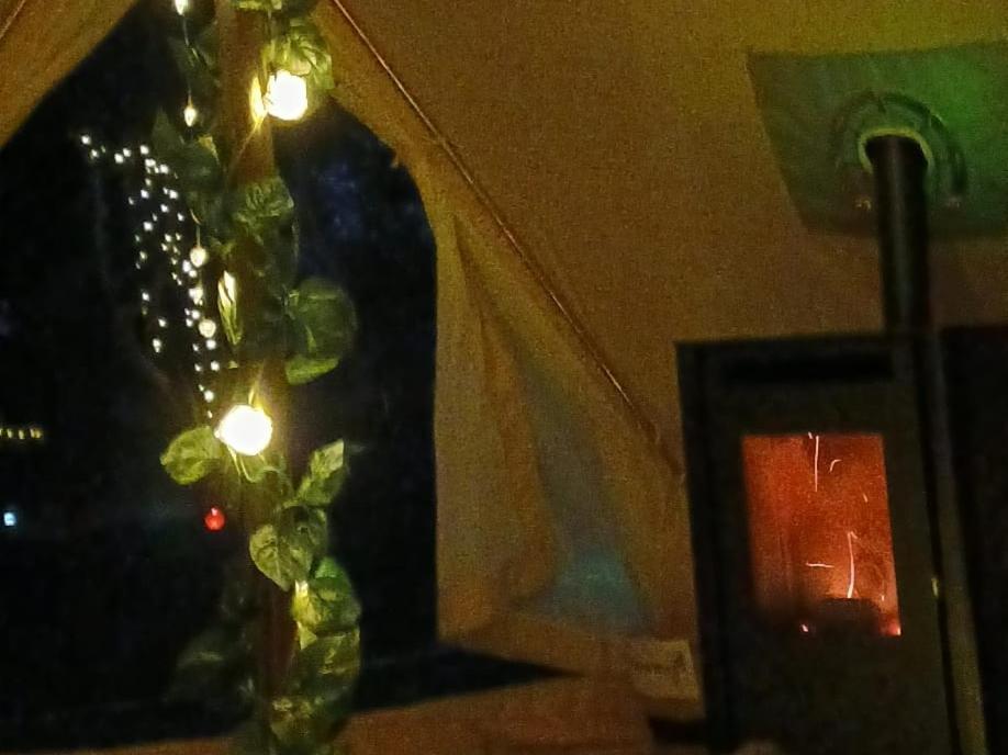 Fairy Cove At Rosemount Glamping Hotel Carlingford Ngoại thất bức ảnh