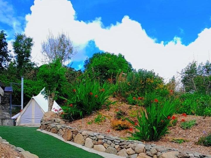 Fairy Cove At Rosemount Glamping Hotel Carlingford Ngoại thất bức ảnh